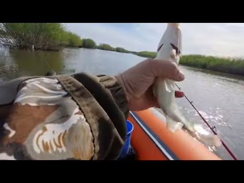 Видео: ШЕСТЬ ЧАСОВ РЫБАЦКОГО СЧАСТЬЯ.