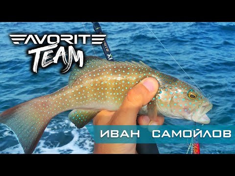 Видео: Ловля групера и саргана в Тайланде. АКУЛА. Коробка приманок для рыбалки на рифах. Favorite Team.