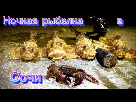 Видео: 🐡Злые скорпены лопают все подряд. Рыбалка в Сочи #fishing #sochi