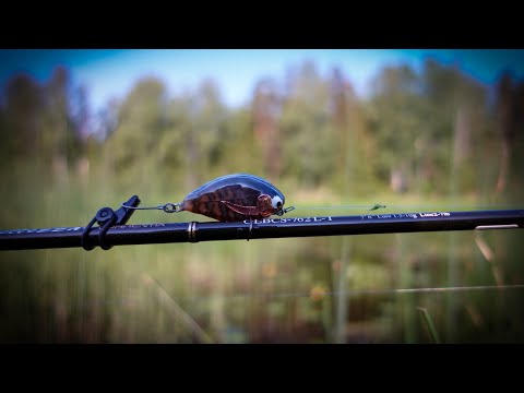 Видео: ЭТА ПРИМАНКА - МОЕ ОТКРЫТИЕ ИЮНЯ!