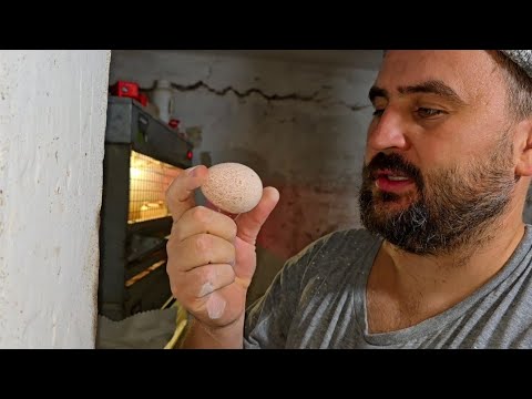 Видео: Целый день работал в сарае,что успел сделать?) 