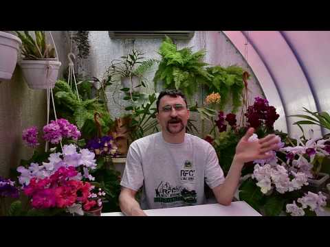 Видео: Удобрения пролонгированного действия (Осмокот). Плюсы и минусы.