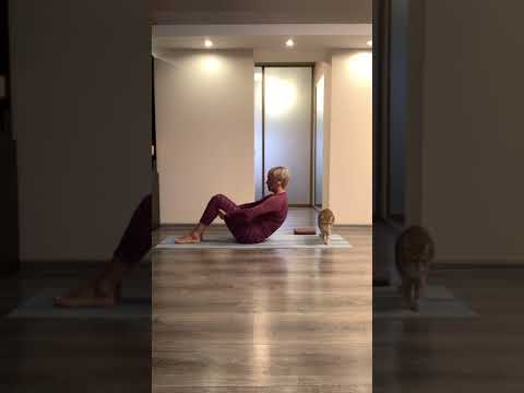 Видео: Polestar Pilates для здоровой поясницы