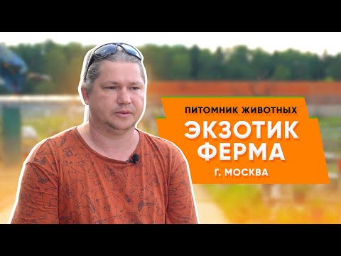 Видео: Секреты успеха бизнеса на питомнике животных/ «Экзотик ферма» в Москве