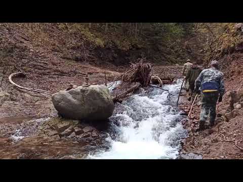 Видео: Река Великая Кема, водопад Чёрный Шаман, река Максимовка, п. Амгу