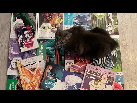 Видео: Моя коллекция раскрасок (2 часть) Раскраски от HACHETTE