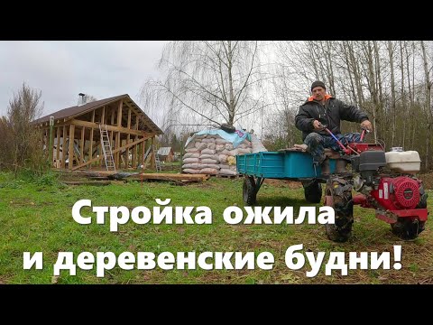 Видео: Стройка вновь ожила, проект "Чистота под ногами" и деревенские будни!