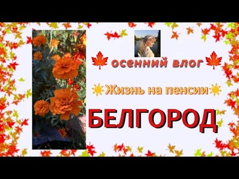 Видео: Осенний влог из Белгорода//О жизни ракетных атаках//Жизнь продолжается!