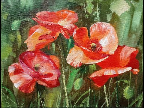 Видео: Маки Poppies.Vugar Mamedov