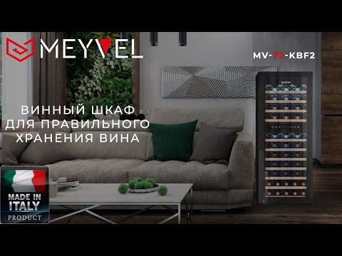 Видео: Винный шкаф MEYVEL MV73-KBF2 Техника для стильной кухни ► винный холодильник