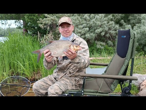 Видео: Самая простая снасть на Леща КОТОРАЯ РЕАЛЬНО ЛОВИТ! Рыбалка на Донки и Фидер. Ловля Леща в августе.