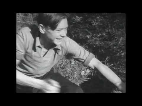 Видео: Как мы жили в СССР -1949 год.