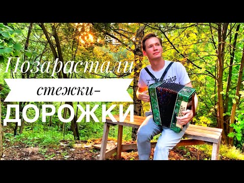 Видео: ПОЗАРАСТАЛИ СТЕЖКИ-ДОРОЖКИ || ПРИРОДА И ГАРМОНЬ ЗАВОРАЖИВАЕТ || ПЕСНЯ ДЛЯ ДУШИ