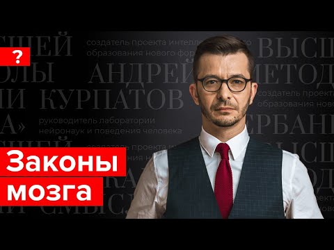 Видео: Законы мозга: в чьих руках наша жизнь?