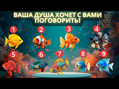 Видео: Ваша душа хочет с вами поговорить! | Выберите ТРИ рыбки! (Вы будете в шоке!)