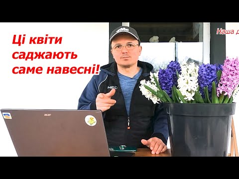 Видео: ТОП 5 цибулинних квітів, які треба саджати навесні!