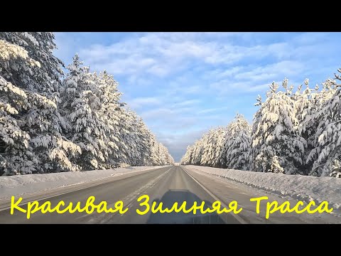 Видео: Красивая Зимняя Трасса