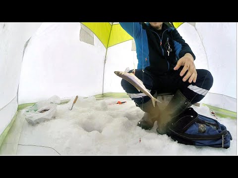 Видео: Имандра.  Ягельный Бор. 3 мая.  Ловим корюшку, пытаемся поймать сига.
