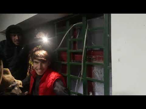 Видео: 30 ТУХМ МЕХРА БИНЕН ШЕРДИЛИ ШУГНОВ