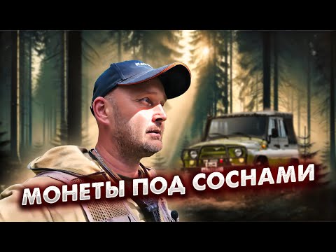 Видео: МОНЕТЫ ПОД СОСНАМИ: НАЙДЕНО БОЛЬШЕ, ЧЕМ ОЖИДАЛОСЬ!