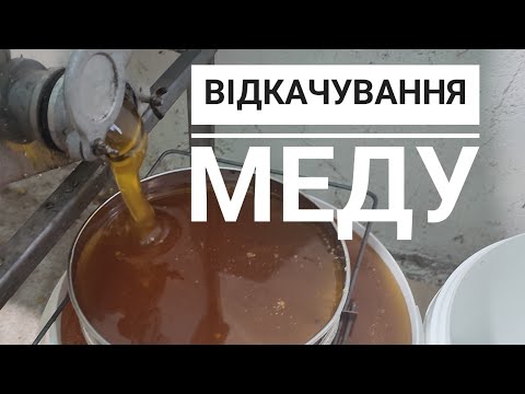 Видео: ✅Відкачування меду💪Моя концепція