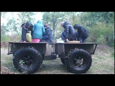Видео: Життя на Поліссі 3