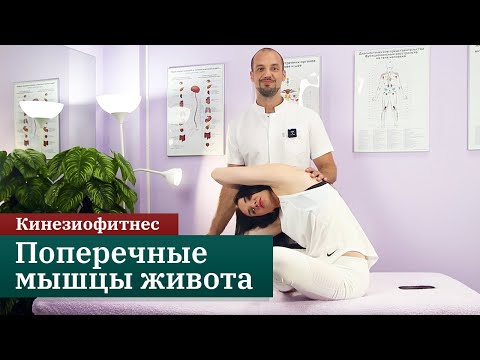 Видео: Кинезиофитнес. Поперечные мышцы живота. Онлайн-курс.