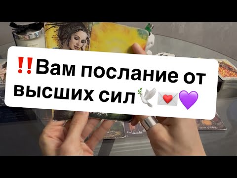 Видео: ‼️Вам послание от Высших сил🕊️💌🩷