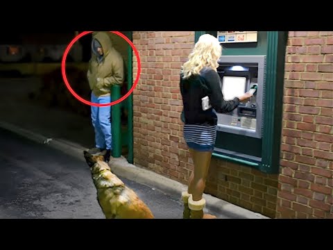 Видео: Это Нужно Видеть! Животные Герои Спасают Людей