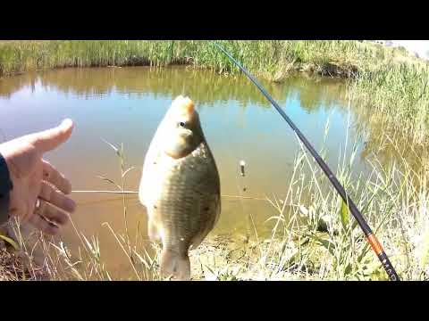 Видео: Рыбалка на Херабуну.