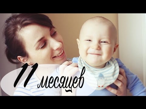 Видео: Развитие ребенка в 11 месяцев - МНОГО МИШУТКИ - Ollysadvice