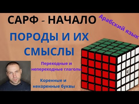 Видео: САРФ - НАЧАЛО \ ПОРОДЫ И ИХ СМЫСЛЫ