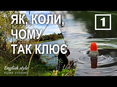 Видео: Коли, чому і як клює | Професійний посібник для рибалок