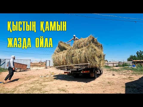 Видео: Аттарыма шөп сатып алдық, Қыстың қамын жазда ойла