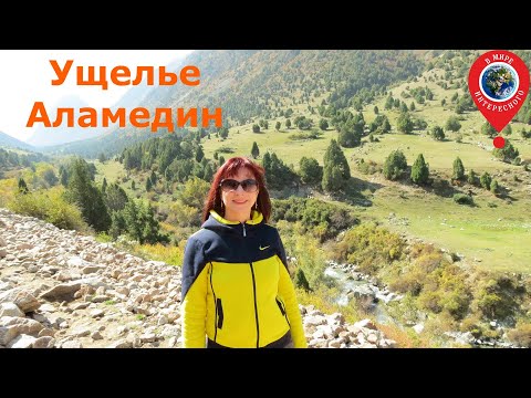 Видео: Аламединское ущелье (Кыргызстан): природа, водопад, река Аламедин, флора и фауна, теплые ключи