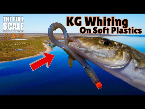 Видео: Король Джордж Уайтинг о пластике | Полная шкала