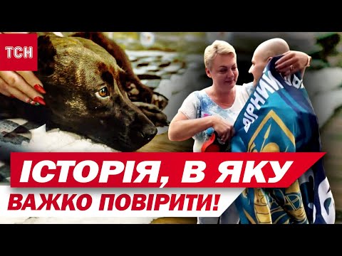 Видео: Вот так история! Морского пехотинца после плена встретила его собака, которую везли через 4 страны!