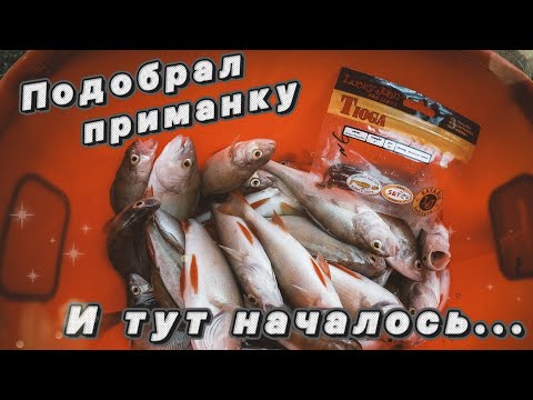Видео: Рыбалка на спиннинг! Подобрал приманку и тут началось...
