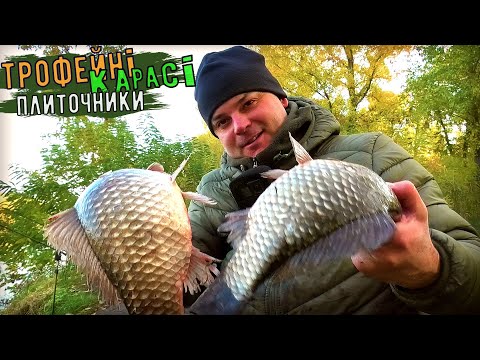 Видео: Вони вже Тут !!! Дніпрові карасі Плиточник зайшли на Зимовку !!!