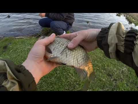 Видео: Ловим карася на Инютинском озере. рыбалка на фидер.