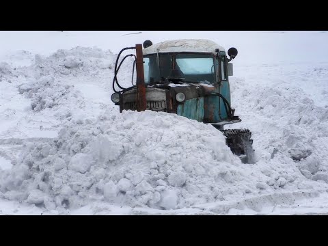 Видео: ДТ-75, чистим от снега площадку под разгрузку леса.