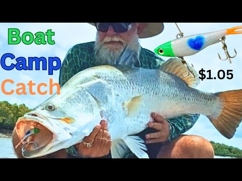 Видео: Ранний выезд в Северном полушарии. Ночуйте в лодке и ловите рыбу за 1,05 доллара. Баррамунди.