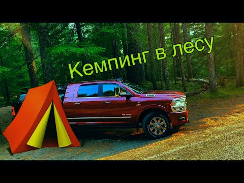 Видео: Отдых в лесу 🏕2021  / Camping it the woods