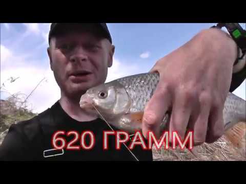 Видео: ЛОВЛЯ ПЛОТВЫ НА ТЕЧЕНИИ, ОТЛИЧНЫЙ СПОСОБ!!!