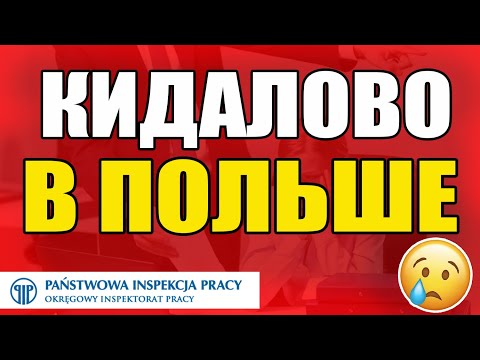 Видео: Работодатель ОБМАНУЛ в Польше! Что делать в таком случае? PIP