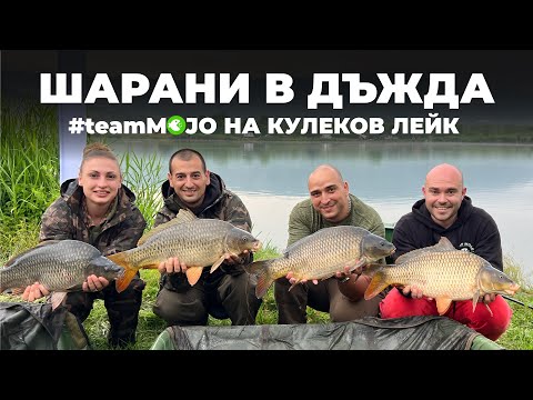 Видео: ШАРАНИ В ДЪЖДА - #teamMOJO НА КУЛЕКОВ ЛЕЙК