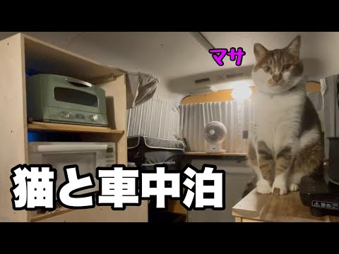 Видео: Спокойное времяпрепровождение с кошками в машине | Портативный блок питания EENOUR P2001