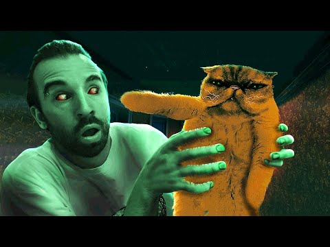 Видео: КОТИК ПОКАЖЕТ КТО ГОСТЬ в No, I'm not a Human