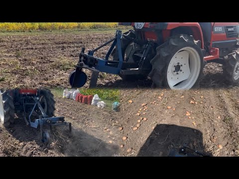 Видео: Kubota GT-21 копання картоплі вібро лапою 🔥 2024