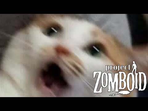 Видео: Project Zomboid - Первая ночь (2)